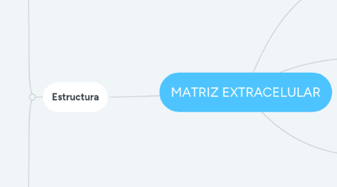 Mind Map: MATRIZ EXTRACELULAR