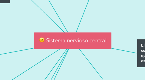 Mind Map: Sistema nervioso central