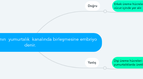 Mind Map: Sperm ile yumurtanın yumurtalık kanalında birleşmesine embriyo denir.