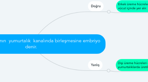 Mind Map: Sperm ile yumurtanın  yumurtalık  kanalında birleşmesine embriyo  denir.