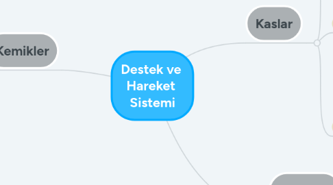 Mind Map: Destek ve Hareket Sistemi