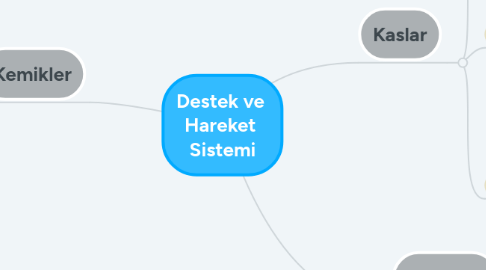 Mind Map: Destek ve  Hareket  Sistemi