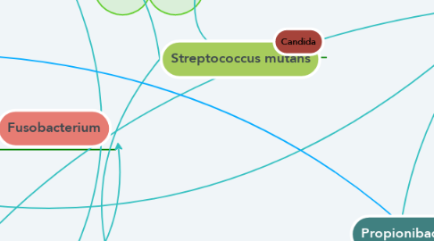 Mind Map: Streptococcus mutans