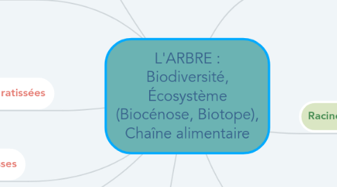 Mind Map: L'ARBRE : Biodiversité, Écosystème (Biocénose, Biotope), Chaîne alimentaire