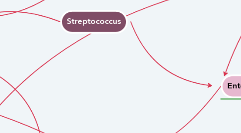 Mind Map: Streptococcus