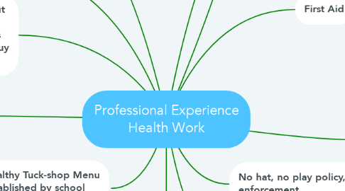 Mind Map: Professional Experience Health Work