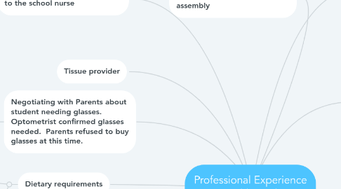 Mind Map: Professional Experience Health Work