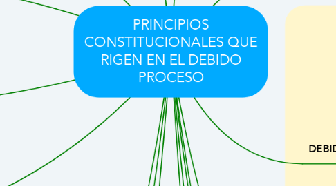 Mind Map: PRINCIPIOS CONSTITUCIONALES QUE RIGEN EN EL DEBIDO PROCESO