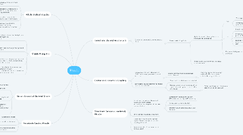 Mind Map: Muscle