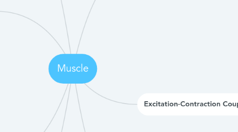 Mind Map: Muscle