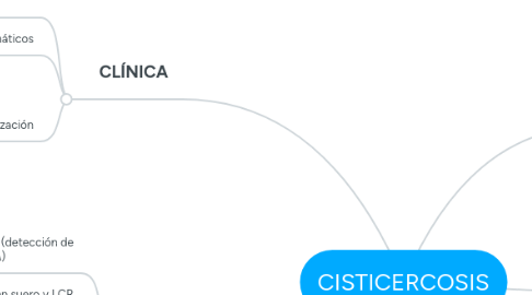 Mind Map: CISTICERCOSIS