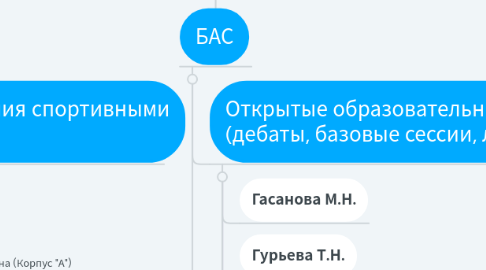 Mind Map: Директор гимназии