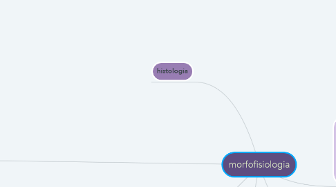 Mind Map: morfofisiologia