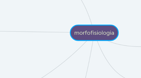 Mind Map: morfofisiologia