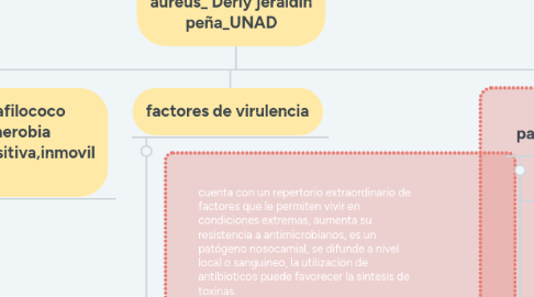 Mind Map: enfermedades por s. aureus_ Derly jeraldin peña_UNAD