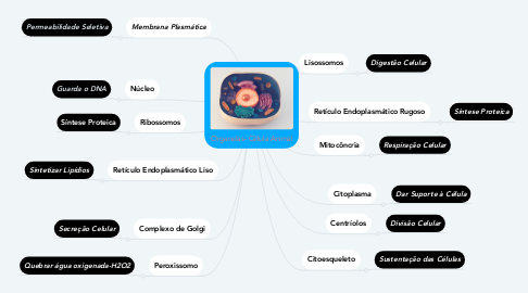 Mind Map: Organelas- Célula Animal