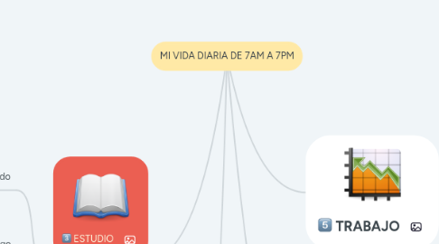 Mind Map: MI VIDA DIARIA DE 7AM A 7PM