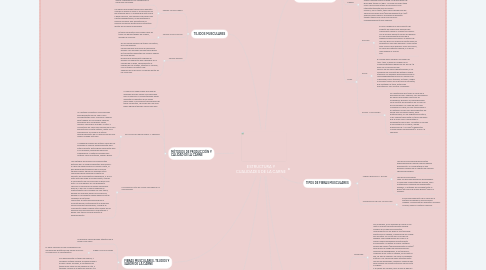 Mind Map: ESTRUCTURA Y CUALIDADES DE LA CARNE