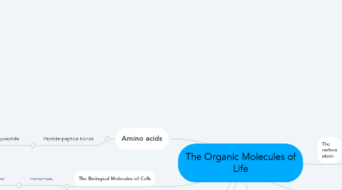 Mind Map: The Organic Molecules of Life