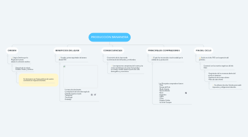 Mind Map: PRODUCCIÓN BANANERA