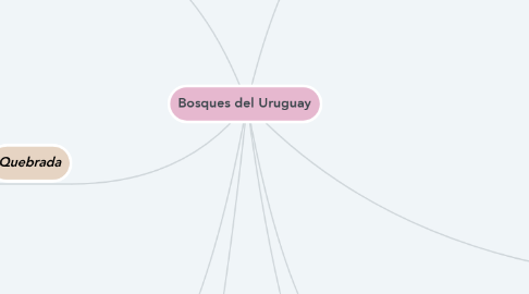 Mind Map: Bosques del Uruguay
