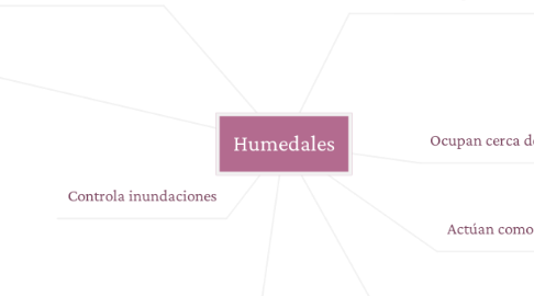Mind Map: Humedales