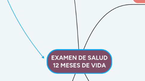 Mind Map: EXAMEN DE SALUD 12 MESES DE VIDA