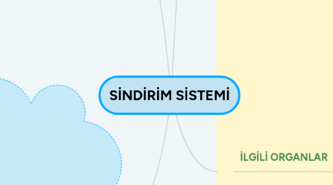 Mind Map: SİNDİRİM SİSTEMİ