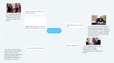 Mind Map: Responsibilities of The Executive Branch