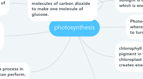 Mind Map: photosynthesis