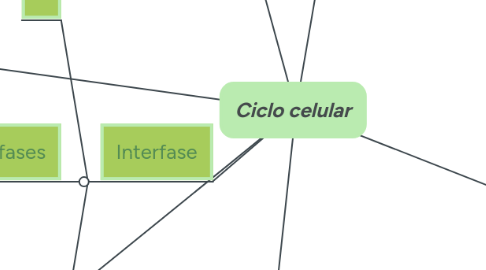 Mind Map: Ciclo celular