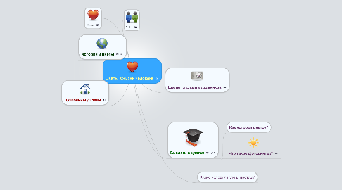 Mind Map: Цветы в жизни человека