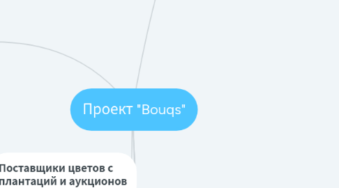 Mind Map: Проект "Bouqs"