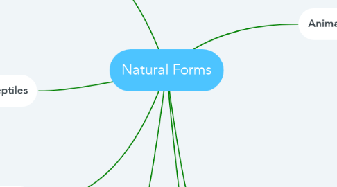 Mind Map: Natural Forms