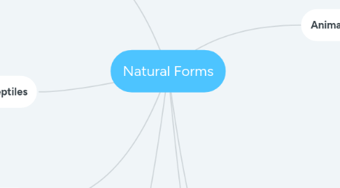 Mind Map: Natural Forms