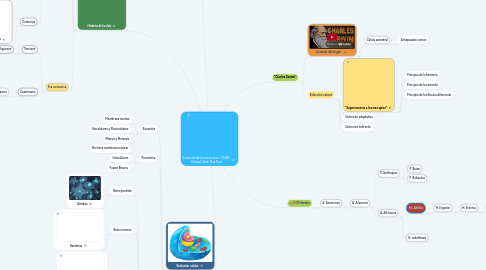 Mind Map: Evolución de los seres vivos - UNAD- Eduard Johan Diaz Mora