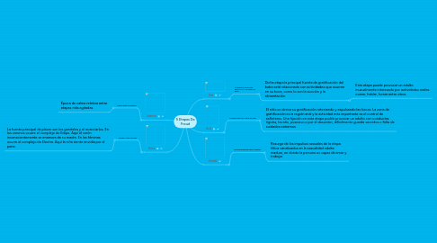 Mind Map: 5 Etapas De Freud