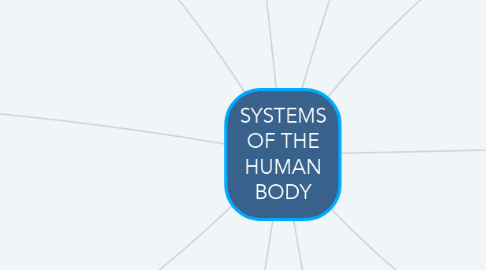Mind Map: SYSTEMS OF THE HUMAN BODY