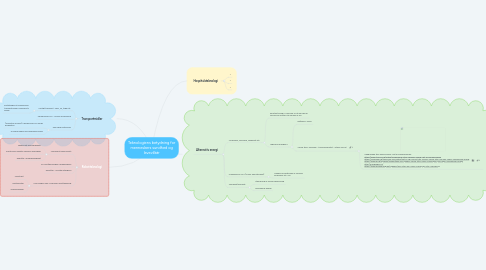 Mind Map: Teknologiens betydning for menneskers sundhed og levevilkår