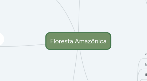 Mind Map: Floresta Amazônica