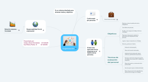 Mind Map: Organización