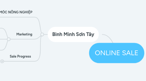 Mind Map: ONLINE SALE