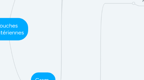 Mind Map: Souches bactériennes