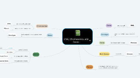 Mind Map: DNA, Chromosomes, and Genes