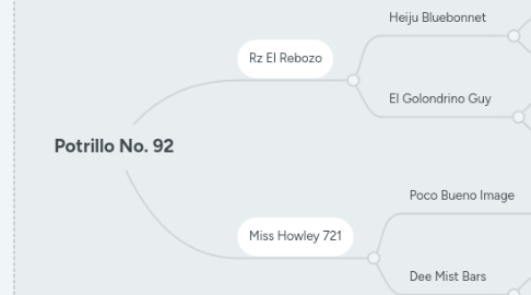 Mind Map: Potrillo No. 92