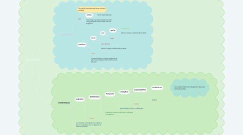 Mind Map: LOS ANIMALES