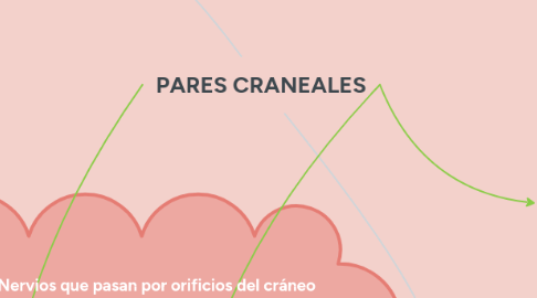 Mind Map: PARES CRANEALES