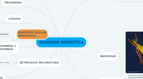 Mind Map: IMUNIDADE INESPECÍFICA