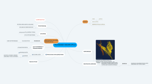 Mind Map: IMUNIDADE INESPECÍFICA