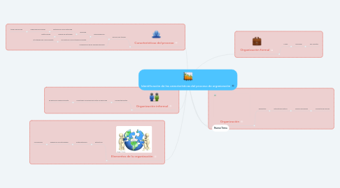 Mind Map: Identificación de las características del proceso de organización